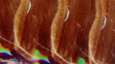 Işıltılı damlalar. Odaklanamayan ışıldayan lifler. Işıldayan turuncu renkli mercek alev alev yanan boya parçacıkları bulanık bokeh hafif modern arkaplanda hareket ediyor.