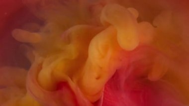 Dikey video. Duman patlaması. Sis çiçeği. Zarif, canlı, ışıl ışıl, turuncu, sprey boyalı, çözünmüş pembe şeftalili, dumanlı, soyut bir arka plan. .