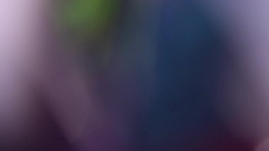 Renkli bir parıltı. Bulanık ışık fantezisi. Odaklanamayan sarı pembe lens soyut sanat arka planında organik ışık saçar..