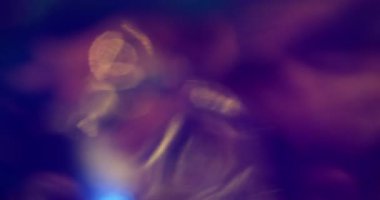 Odaklanamayan ışık lensi. Görüntü hologramı örtüşüyor. Renkli ışıklılık optik etkisi. Sanat menekşesi neon parıltısı soyut solgunluk ışını arkaplanı.