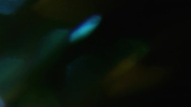 Parıltı. Bulanık optik sızıntı. Odaklanmamış mavi, sarı, altın renkli lens soyut koyu siyah arkaplan üzerinde parıltı deseni..