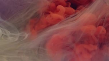 Patlama akışı. Suyu boya. Odaklanmamış turuncu, mor, ruhani, ıslak, soyut, siyah sanat arka planında gezinen..