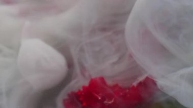 Dikey video. Grunge dumanı. Karanfil çiçeği. Yumuşak kıvrımlı gri mürekkep suya su sıçratır. Sanat sıvısı kırmızı tomurcuk yaprağı soyut arkaplan yüzeyini dağıttı.