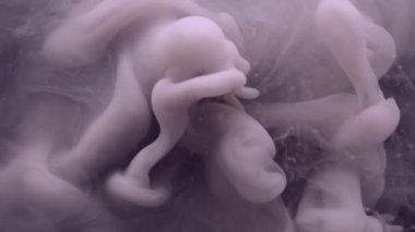 Ruhsal sis. Mürekkep suyu. Odaklanamayan mor renkli dumanlı kimyasal boya sıvı dalga akışı dumanı soyut sanatın koyu siyah arka planında yükseliyor..