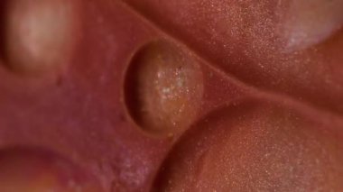 Dikey video. Parlak mürekkep. Yağ kabarcıkları. Büyük yuvarlak yuvarlak yuvarlak yüzen kahverengi köpüklü sıvı. Sanatsal maddenin hipnotik karıştırılması soyut arkaplan.
