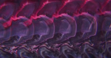 Optik efekt boyası. Sanat sıvısı bulanıklığı. Kırmızı mor siyah akrilik karışım rengi. Parlak boya soyut arkaplandan çıkarıldı.