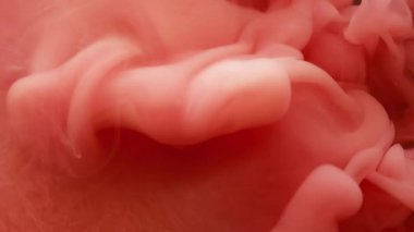 Sis dalgası. Sıçrama boyası. Odaklanmamış pembe kırmızı renk dokusu soyut sanat yaratıcılığı arka planında hareket eden duman sıvısı damlası.