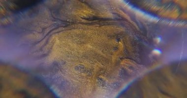 Optik efekt boyası. Sanat sıvısı bulanıklığı. Sarı mor akrilik karışım rengi. Odaklanmamış boya dökülme eğrisi köşe mercek aydınlatma ışığı soyut gri arkaplan.