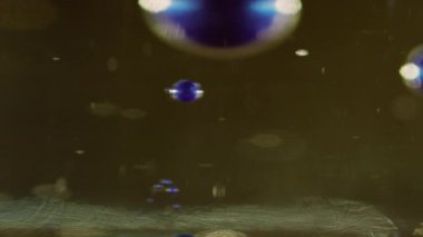 Su yağı. Odaklanmamış baloncuk dokusu. Işıl ışıl parlayan mavi yeşil renk bulanık bokeh ışığı üzerinde hareket ediyor soyut arkaplan.