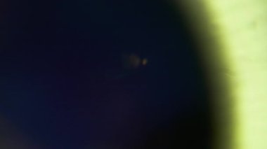 Sızdıran kristal. Bulanık ışık dokusu. Odaklanamayan mor yeşil renkli lens soyut sanatın koyu siyah arka planında parıldıyor..