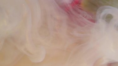 Dikey video. Duman karışımı. Işıldayan buhar. Bulanık karanfilin üzerine beyaz şeftali rengi boya karışımı. Sıvı çiçekleri soyut su arka plan sanatı doğası.