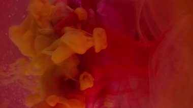 Dikey video. Parlak duman. Sanat doğası. Yuvarlak sis, gül yaprağında kırmızı turuncu duman boyası patlamış. Doğa çiçeği soyut bulanık su arkaplanını karıştır .