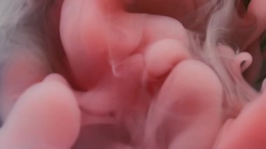 Sıvı sis. Soyut mürekkep. Odaklanmamış pembe renkli duman ruhani kirlilik dokusu koyu siyah arka planda yüzen sıvı karışımı.