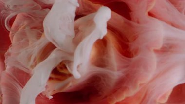 Dikey video. Çiçek yaprakları. Duman boyası sıçraması. Odaklanmamış kırmızı beyaz renk su mürekkep dokusu gül bitkisinin sıvı doğası soyut sanat ışıltısı arka planına düşer.