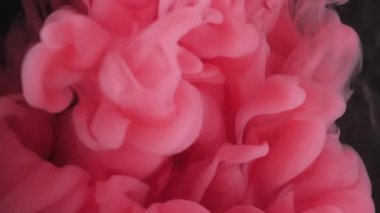 Sis sıvısı. Boya yayılmış. Kırmızı, pembe, puf puf, kıvrımlı, siyah arka plana sıçramış. Odaklanmamış sanat soyut akış fırtına çekimi.