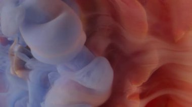 Dikey video. Su açar. Islak çiçek dokusu. Odaklanmamış mavi turuncu renkli bitki sıvısı boya doğanın soyut parlak arka planda yüzmesi..