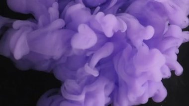 Sis sıvısı. Boya yayılmış. Violet Puse Puff akıntısı, siyah arka plana sıçrıyor. Odaklanmamış sanat eseri soyut akış boya şişirme çekimi.