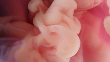 Duman sıçraması. Mürekkep atışı. Beyaz sprey karışımı pembe turuncu sis akışı sıvısı. Kıvrımlı renkli suyu harmanlamak soyut arkaplan odaklanmış dokuyu bozar.