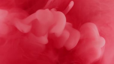 Buhar bulutu. Sıvı patlaması. Puf boyası. Kırmızı mercan rengi sanat sıvısına buhar akışı düşer. Odaklanmamış karıştırılmış su soyut arkaplanı.