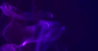 Renkli su. Mürekkep sisi. Odaklanmamış mavi neon dumanı akrilik sis dokusu soyut koyu siyah yaratıcı arka planda yüzüyor..