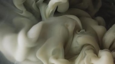 Grunge dumanı. Boyayla boyanmış. Beyaz sualtı mürekkep akıntısı gri siyah bulanık mistik sıvıda yüzüyor. Sanat dokusu soyut renk sıvı arkaplanı.