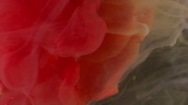 Dikey video. Çiçek mürekkebi. Çiçek boyası. Odaklanmamış kırmızı gül rengi, gül rengi, sıvı, çiçek, bitki yaprakları, soyut sanat eserleri, parlak arka plan..