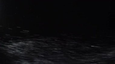 Soğuk yağış. Hafif kar. Odaklanmamış beyaz parçacıklar koyu siyah soyut sanat arka planında yüzen nemli don dokusunu parlatır.