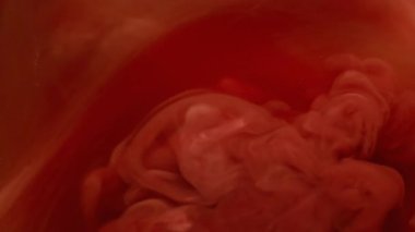 Akrilik sıvı. Mürekkep at. Yaratıcı sanat arka planında yüzen kimyasal sularda odaklanmış kırmızı bronz renk bulut boya dokusu.