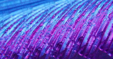 Bulanık damlası. Islak arka plan. Odaklanmamış mor neon renkli sıvı yağmur damlaları yaratıcı sanat soyutlamasına damlıyor..