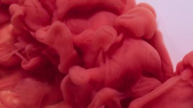 Parlak sis. Boya akışı. Bulanık turuncu girdap kırmızı akrilik emülsiyon duman pigmenti soyut beyaz sanat arka planına yayılıyor.