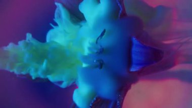 Dikey video. Mistik akış. Yaprak dumanı. Beyaz mavi duman, parlak mor menekşe soyut arka plan bulanık neon çemberinde çözünür. Renkli floresan boya peçeli doğal çiçek..