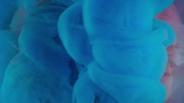 Dikey video. Çiçek çemberi. Boya sıçraması. Odaklanmamış kırmızı turuncu renkli yuvarlak çerçeve duman bulutu içinde gül tomurcuğu soyut sanat arkaplanı.