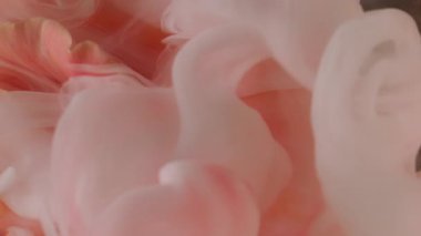 Dikey video. Boya çiçeği. Buhar bulutu. Odaklanmamış pembe beyaz gül yaprakları mürekkep çiçekleri parlak soyut sanat arka planında doğa dokusu çiçek açar.