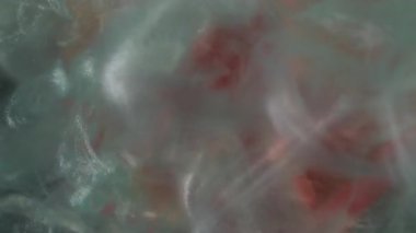 Dikey video. Gül arka planı. Köpüklü sıvı. Odaklanmamış kırmızı turuncu renk çiçek açar bitki yaprakları parlak ıslak boya soyut parlak sanat eserlerine sıçrar..