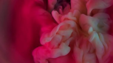 Boya patlamış. Duman spreyi. Sarı puf lekesi pembe mor kırmızı sanat sıvısı girdabına dökülmüş. Renkli fantezi fırtınası soyut arkaplan.