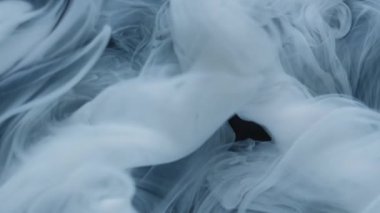 Sis girdabı. Haze boyası. Beyaz duman hipnotik kıvrım pigmenti sıvıda çözünür. Boyalı su soyut siyah arkaplanı çözer.