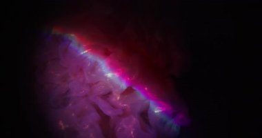 Parlak boya. Neon duman sanatı. Odaklanmamış mor pembe renkli kıvrımlı gökkuşağı dokusu soyut koyu siyah ışık yaratıcı arka planda yüzüyor..