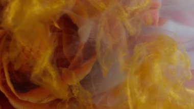 Dikey video. Mürekkep çiçeği. Su yaprakları. Odaklanmamış kırmızı çok renkli gül simli parçacıklar soyut sanat arka planında boya dumanı karışımı.