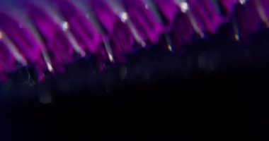 Bulanık soyut işaret fişeği. Işık huzmesi. Odaklanmamış mor neon renkli floresan optik lens koyu siyah görsel arka planda daireler çiziyor..