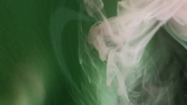 Kara buhar. Sis boyası. Siyah arka planda yüzen yeşil grunge sis peçesi. Renk bulutu derin gizemli su soyut sihirli bulanık duman.