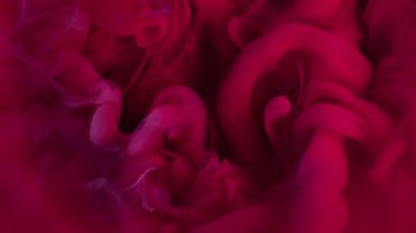 Duman sıçrıyor. Mistik boya. Kırmızı pembe mor dalga suda akıyor. Odaklanmamış parlak renk soyut fantezi sıvı sis karışımı arkaplan.