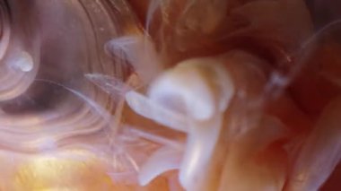 Dikey video. Parıldayan sıvı. Sanat buharı. Beyaz bej rengi altın peçeli dalga toz mat üzerine boya döküyor kristal şeftali soyutlanmış arkaplan.