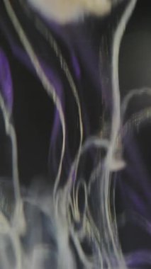 Dikey video. Bulanık atmosferik duman. Sıvı girdap. Çok renkli, mor, ışıl ışıl parlayan, ışıl ışıl, akarsu boyaları soyut koyu arkaplanda hareket ediyor..