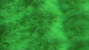 Parıldayan parıltı. Bulanık renk parıltısı. Mor mavi, kırmızı, pırıl pırıl bir lens. Soyut, ışıldayan bokeh ışık arka planında hareket ediyor..