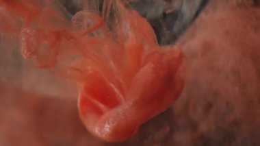 Dikey video. Sanat sıvısı. Acryl sızıntısı. Portakal kırmızısı dumanlı mürekkep lekesi çözünmüş cam üzerine düşüyor kristal kaplı prizma siyah soyut su arka planı.