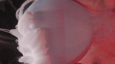 Dikey video. Geometrik sanat. Akan mürekkep. Odaklanmamış beyaz kırmızı renkli su dumanı soyut koyu siyah arkaplana damlıyor..