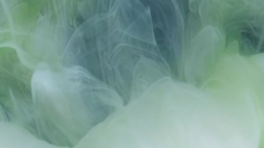 Sis dalgası. Duman karışımı. Beyaz yeşil sıvı pigment gizem karışımı renk boyası soyut arka plan. Su akrilik pigment girdap bulanıklığı akışı.