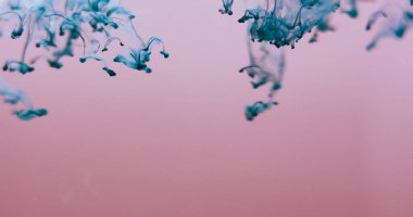 Bulanık renk damlası. Duman sıçrıyor. Turkuaz mavi boya damlaları çözünmüş pembe sıvıda. Boya pigmenti akış soyut arkaplan serbest alanı.