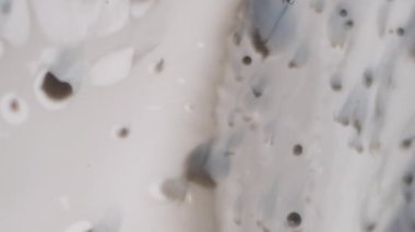 Boya sıçraması. Pigment damlası. Akrilik akış kirli nokta beyaz diş minesi sıvısı. Grunge boya topu damlası sıçrama karışımı soyut bulanık arkaplan.