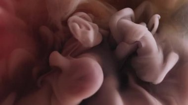 Sis dalgası. Sis sıçraması. Suyun sıvı duman dokusunda çözünmüş mor renkli boya soyut sanat eserlerinin yaratıcı arka planında yüzüyor..